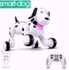 Picture of Multi-functional robotic smart dog