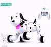 Picture of Multi-functional robotic smart dog