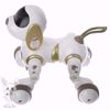 Picture of Dexterity control robot model for dogs