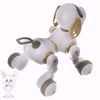 Picture of Dexterity control robot model for dogs