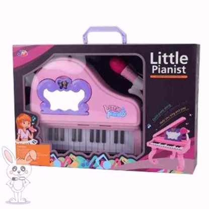 Picture of Pink piano with tail and microphone