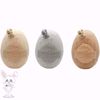 Picture of Dinosaur Egg Surprise Set Dinosaur Figurines Light Mat