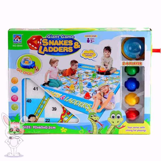 Picture of Ladder and snake