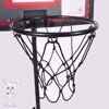 Picture of Basketball 165×36