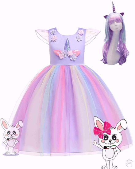 Picture of unciron dress with wig