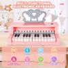 Picture of Digital piano keyboard for girls with stand, microphone, seat, recording and playback function, 25 keys, 22 demos and 6 rhythms from Diao, electronic music piano...