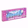 Picture of 439/ Professional Electronic Piano - 37 Keys - Metal Frame - Musical Toys